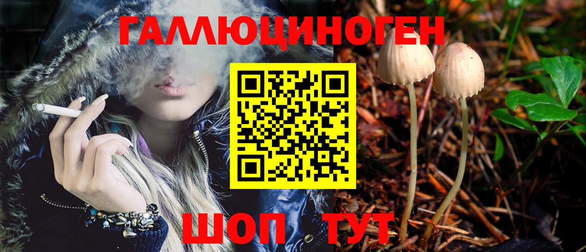Псилоцибиновые грибы MAGIC MUSHROOMS  Вход с VPN  купить наркотик  Советск  Псилоцибиновые грибы Cubensis 